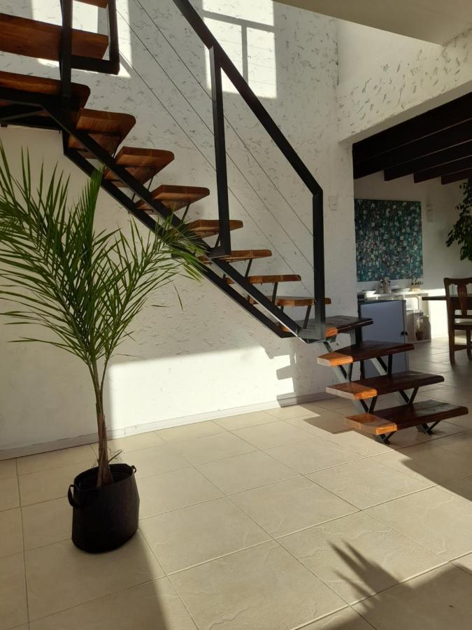 Casa Luminosa Con Parque Y Vista Espectacular Apartment El Calafate Exterior foto